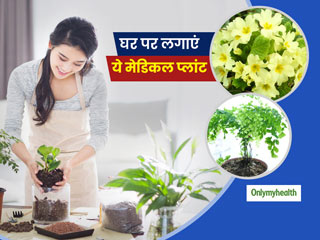 तुलसी ही नहीं घर में लगाएं ये 5 मेडिकल प्‍लांट, कई बीमारियों से लड़ने में मिलेगी मदद  