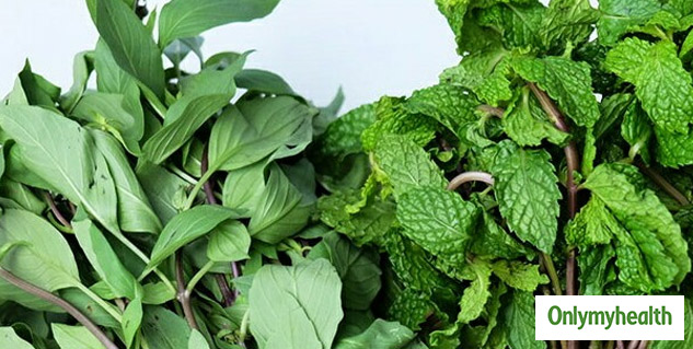Mint and Basil