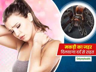 नई रिसर्च! बिना किसी साइड इफेक्‍ट के दर्द से राहत दिलाएगा मकड़ी का जहर, शोध में हुआ खुलासा   