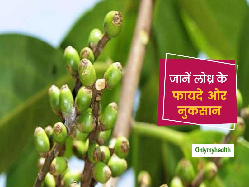 लोध्र त्वचा की देखभाल के साथ ही आपके दांतों को भी रखता है स्वस्थ, जानें इसके अनेक फायदे और नुकसान