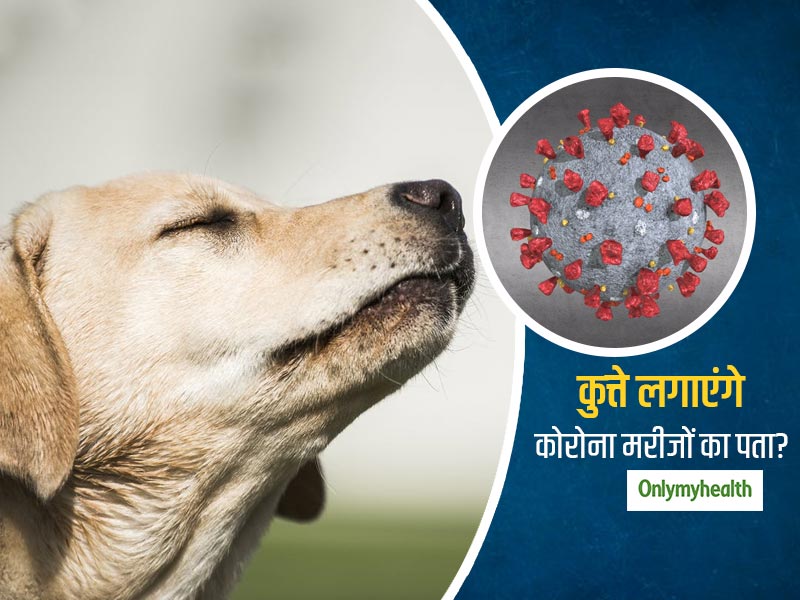 कोरोना वायरस के संदिग्ध मरीजों की पहचान में मदद कर सकते हैं मेडिकल डिटेक्शन डॉग: गृह मंत्रालय के सीनयर ऑफीसर 