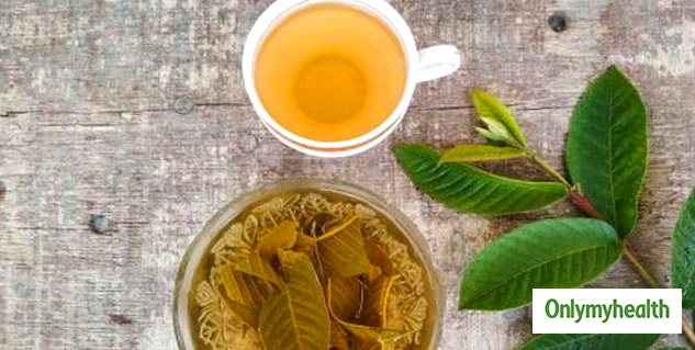 Guava Leaf Tea Benefits