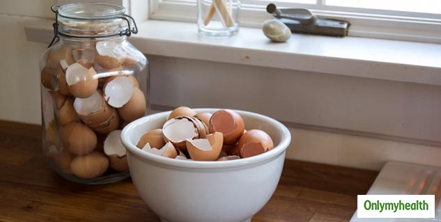 Eggshell Uses and Bnefits