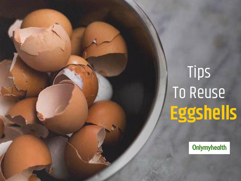 Don’t Throw Away Eggshells! Here Are 5 Eggshell Hacks You Must Try