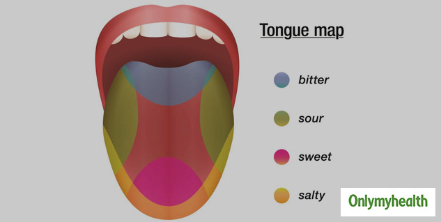 Taste receptors 