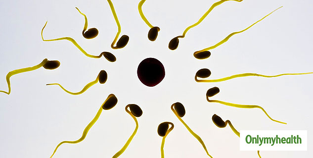 male infertility tests