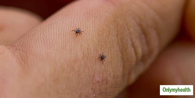Tick Borne Virus 