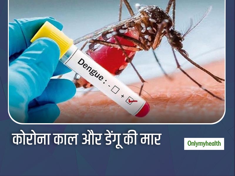 दिल्ली में बढ़ रहे हैं डेंगू के मामले, जानें कोरोना काल में डेंगू की मार से बचने के लिए कुछ आसान घरेलू उपाय