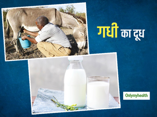 Donkey Milk Benefits: गधी का दूध पीकर बढ़ाएं अपनी इम्यूनिटी, आस-पास भी नहीं फटेंगी ये बीमारियां 