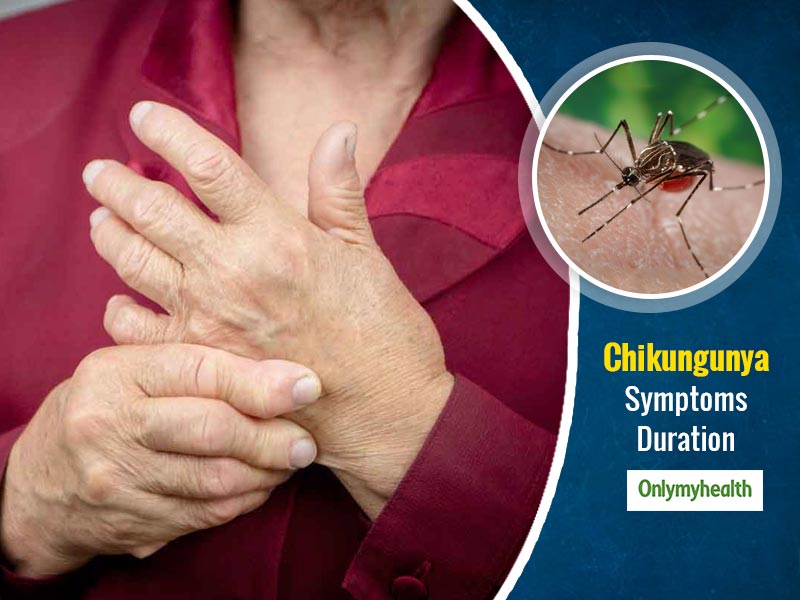 chikungunya rashes