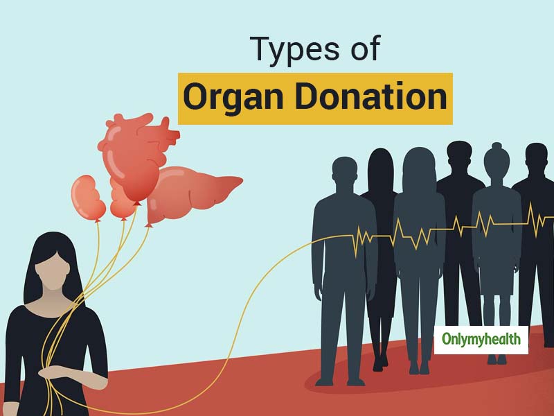 World Organ Donation Day 2020 Learn About Different Types Of Organ