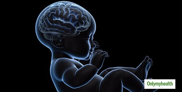 Child's Brain Devlopment