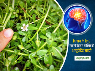 दिमाग तेज करने, याददाश्त बढ़ाने और लर्निंग स्किल्स सुधारने के लिए ब्राह्मी से बेहतर कुछ नहीं, जानें प्रयोग