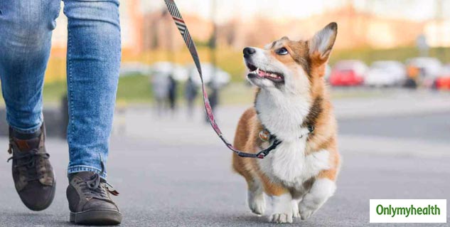 Pets Improve Your Health