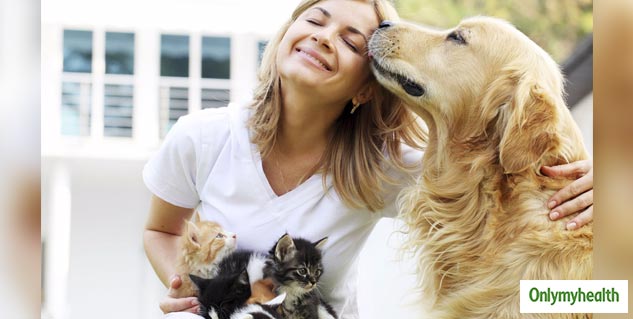 Pets And Human Health