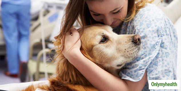 Pet Lovers