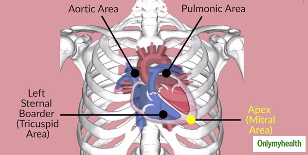 Rheumatic Heart Disease: Causes, Symptoms, Diagnosis, And Treatment ...