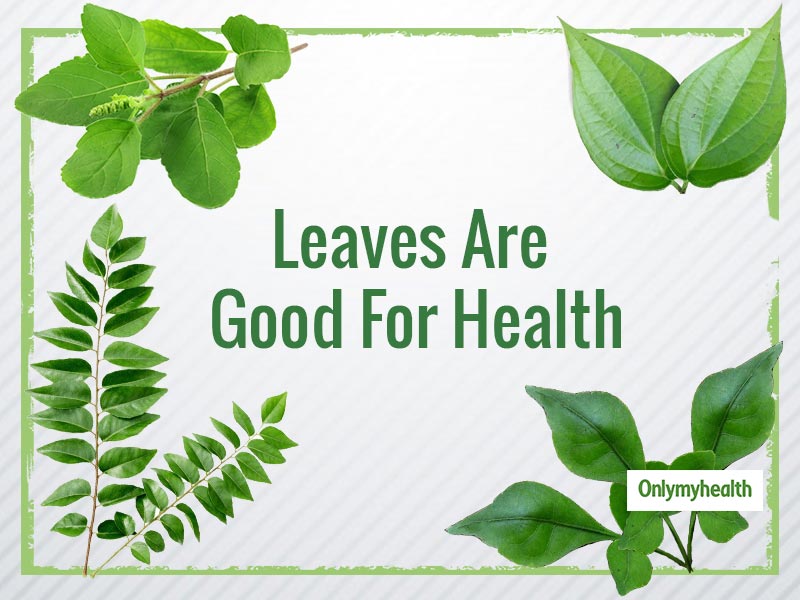 Top Benefits Of Bael Leaf Ceylon Organic Taste | atelier-yuwa.ciao.jp