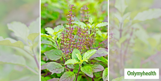 insidetulsi