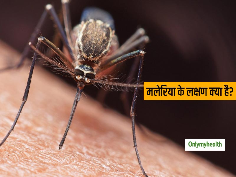 इन लक्षणों से करें मलेरिया बुखार की पहचान और ऐसे करें खुद का बचाव