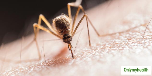 dengue long term side effects