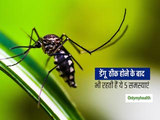 डेंगू ठीक होने के बाद भी नहीं जाते हैं कुछ लक्षण, रिकवरी के बाद शरीर में बनी रहती हैं ये 5 समस्याएं