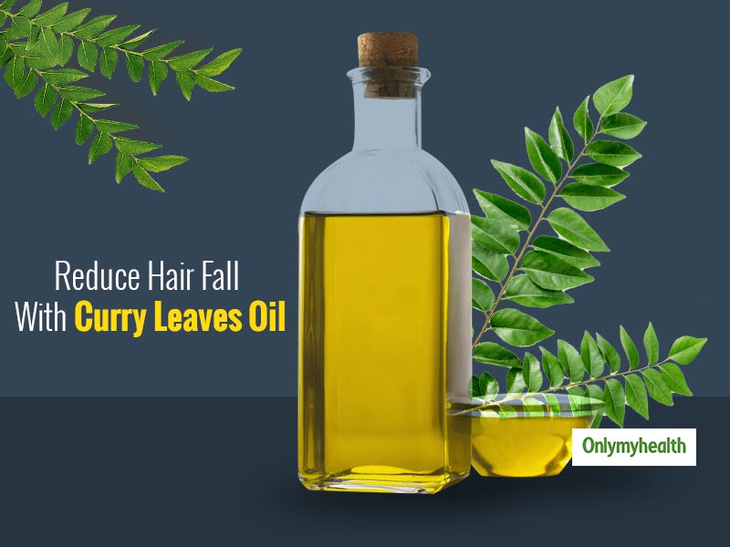 DIY Curry Leaves Oil For Hair Growth, Here Is What This Miracle Oil Can Do  To Your Hair