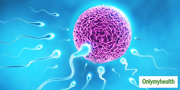 fertility decline globally