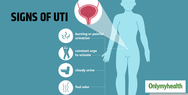 Bacteria Causes Urinary Tract Infection   Inside UTI 