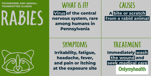 Be Careful! Your Pet Might Make You Sick. Know How Zoonotic Diseases