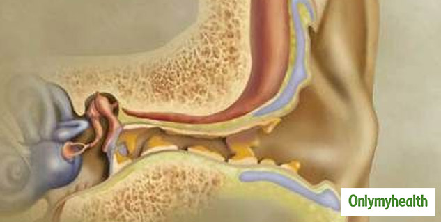 Inside_ear