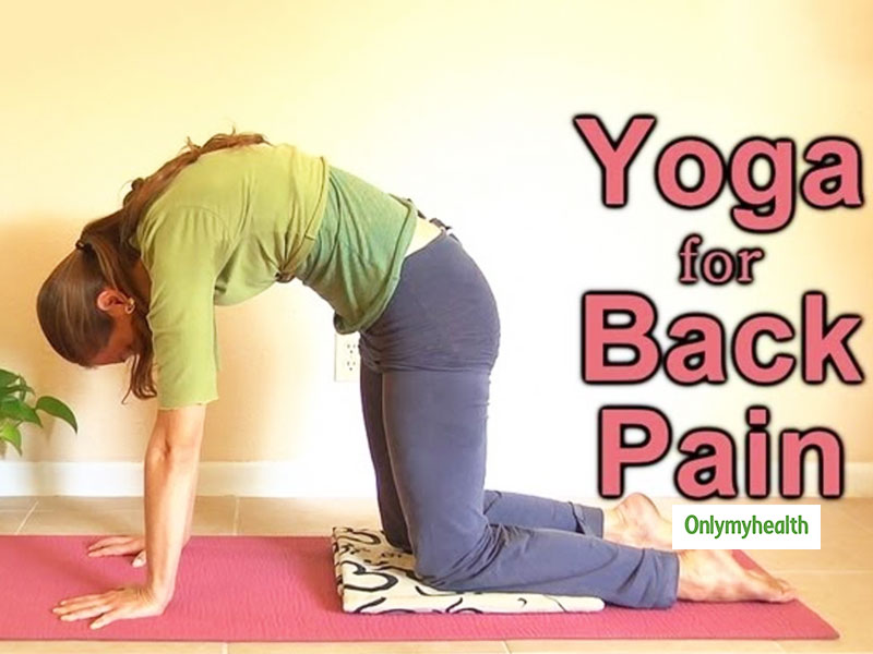 Yoga Poses Unlimited - Yoga For Back Pain – Lower Back, Upper Back,  Sciatica, Neck and Shoulder Pain Relief Yoga Learn more:  http://ow.ly/EDaM50A5LBF #Relaxation #Workout #Fitness #Yoga #Exercise  #YOGATX | Facebook