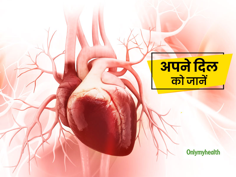 अपने दिल के बारे में ये 5 बातें जानकर चौंक सकते हैं आप, मगर ये सच हैं