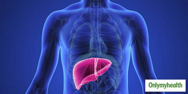 liver