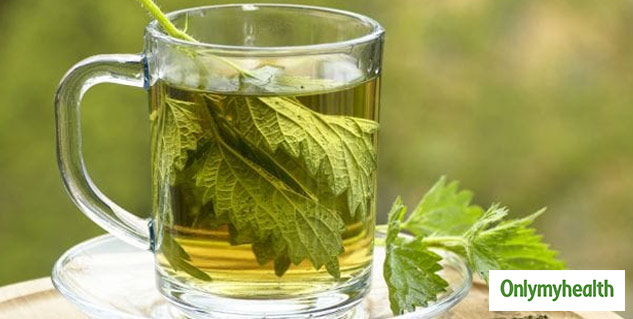 Nettle Leaf Tea Benefits