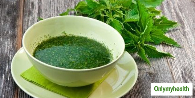 Nettle Leaf For Weight Loss