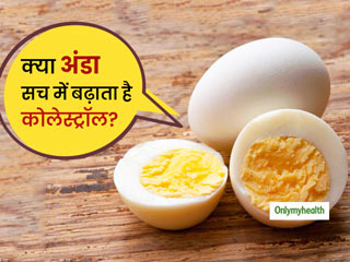 क्या रोजाना एक अंडा खाने से भी बढ़ जाता है कोलेस्ट्रॉल? जानें क्या कहती है लेटेस्ट रिसर्च