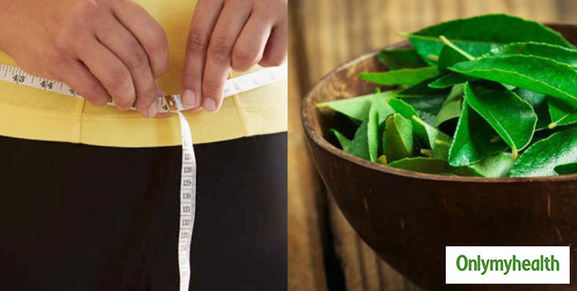 Curry Leaves Good For Weight Loss