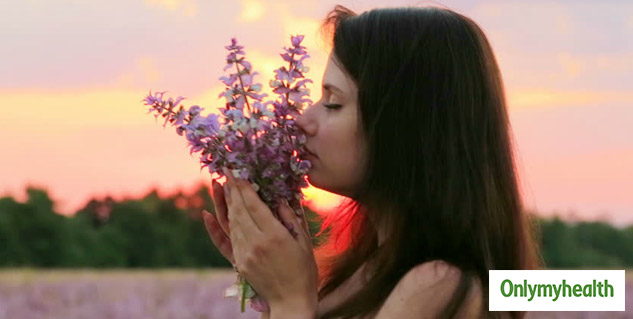 Lavender 
