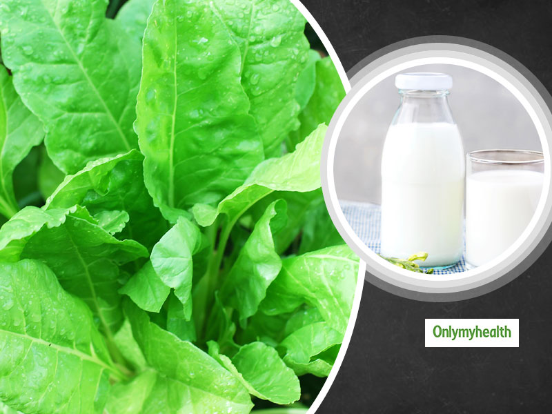 Fact Or Myth: Can You Eat Spinach And Milk Together?