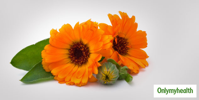 genda