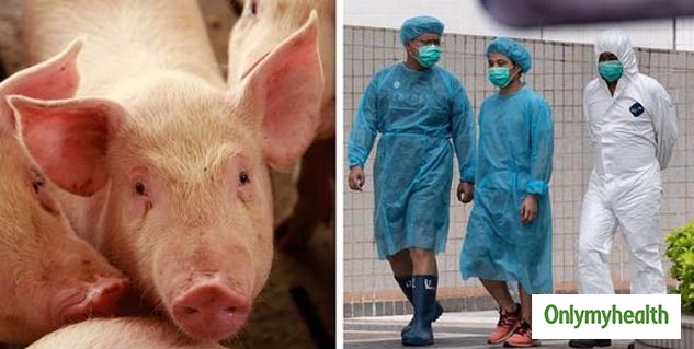 swine_flu