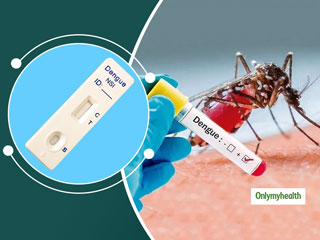 Dengue Cases Cross The 2000 Mark In The National Capital | OnlyMyHealth