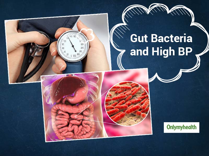 Bacteria In Your Gut Can Cause High Blood Pressure or Pulmonary Arterial Hypertension