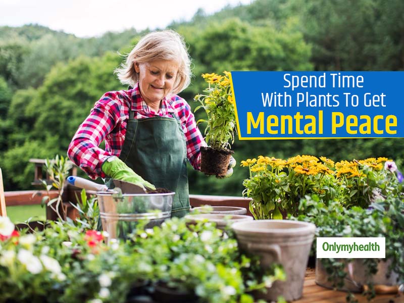 Gardening and Mental Health: 5 Reasons Why You Must Start Gardening ...