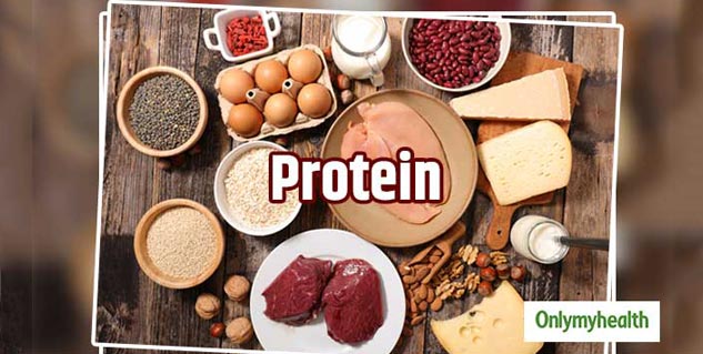 Protein Rich Foods
