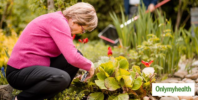 Gardening For Mental Health