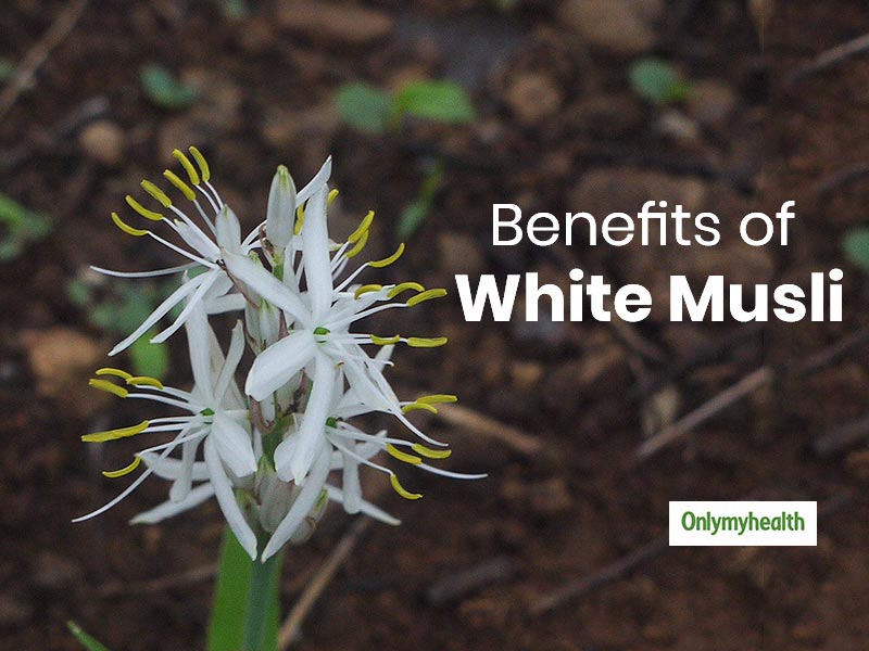 Here Are Top 4 Health Benefits Of White Musli