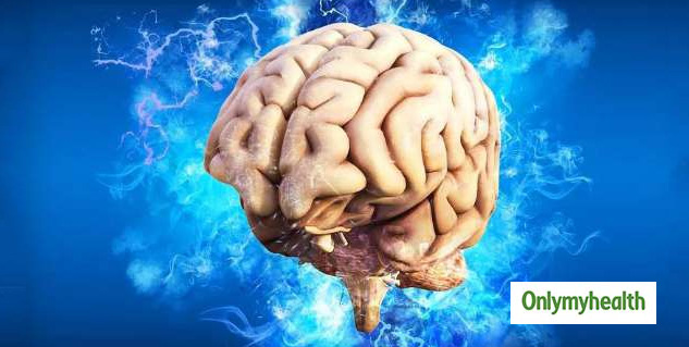 How Brain Balanced Happiness and Pain