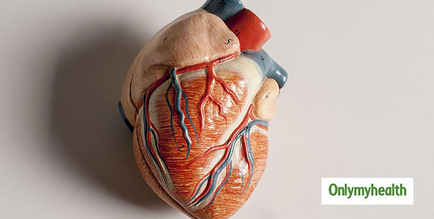 heart